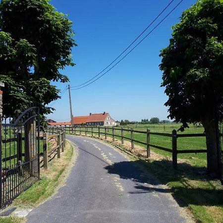 De Blinker Villa Knokke-Heist Exteriör bild